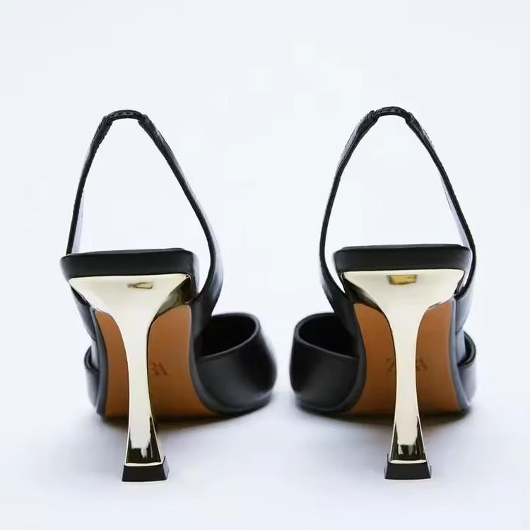 SARA Heels